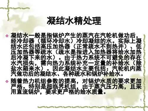 凝结水精处理PPT课件