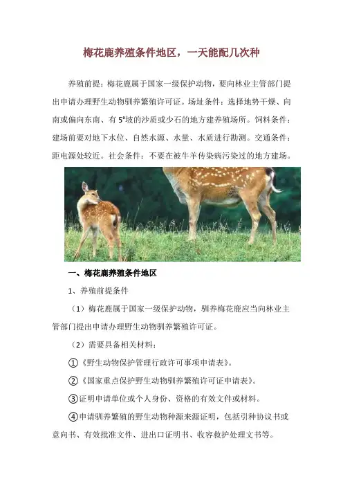 梅花鹿养殖条件地区,一天能配几次种