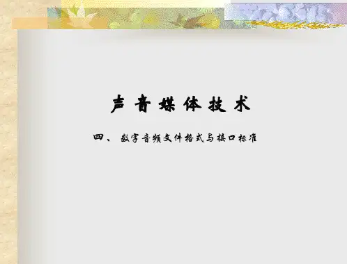 数字音频文件格式与接口标准