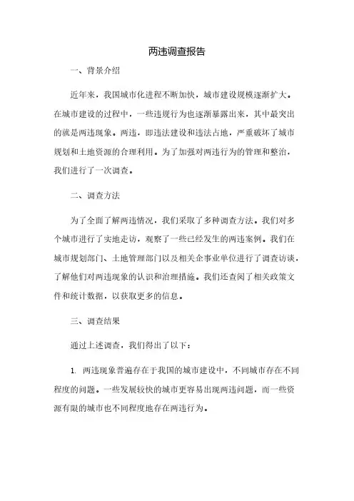 两违调查报告