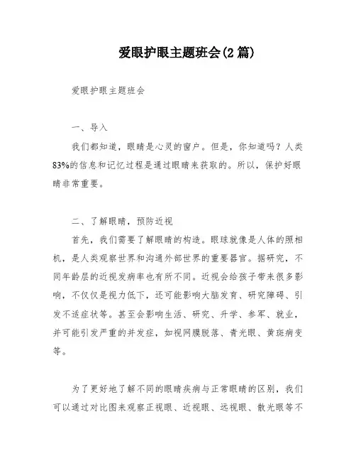 爱眼护眼主题班会(2篇)