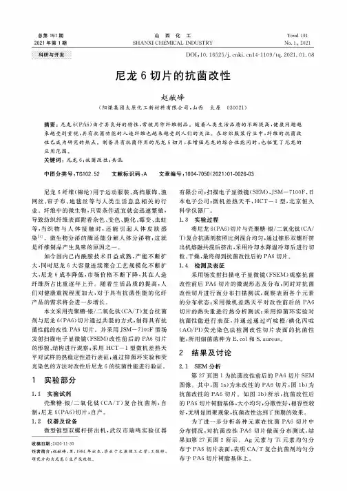 尼龙6切片的抗菌改性