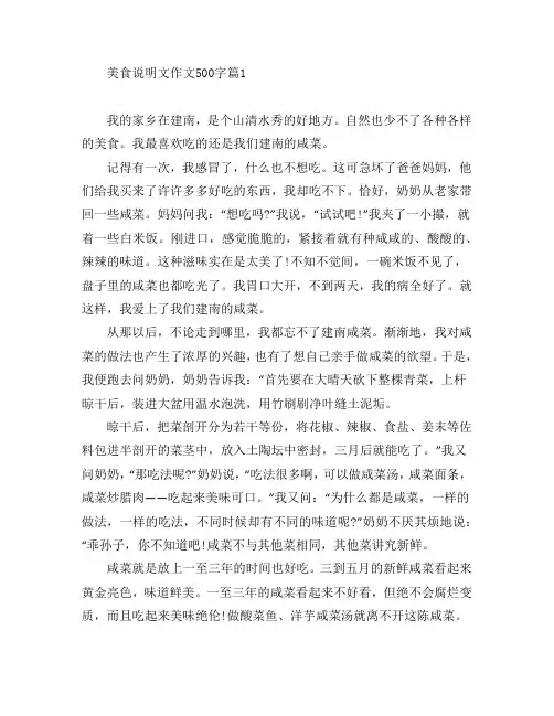 美食说明文作文500字8篇
