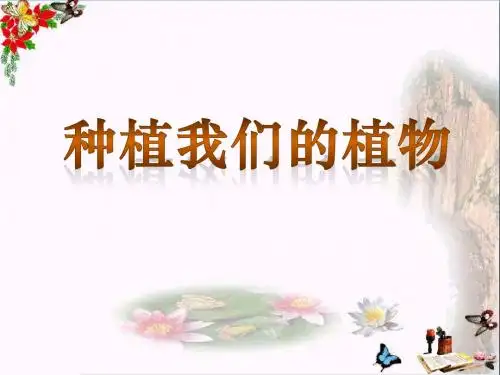 《种植我们的植物》植物的生长变化PPT优秀课件2