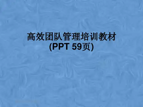 高效团队管理培训教材(PPT 59页)