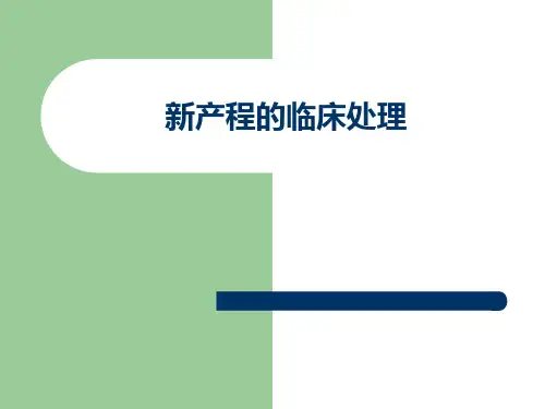 新产程的临床处理-PPT精品课件