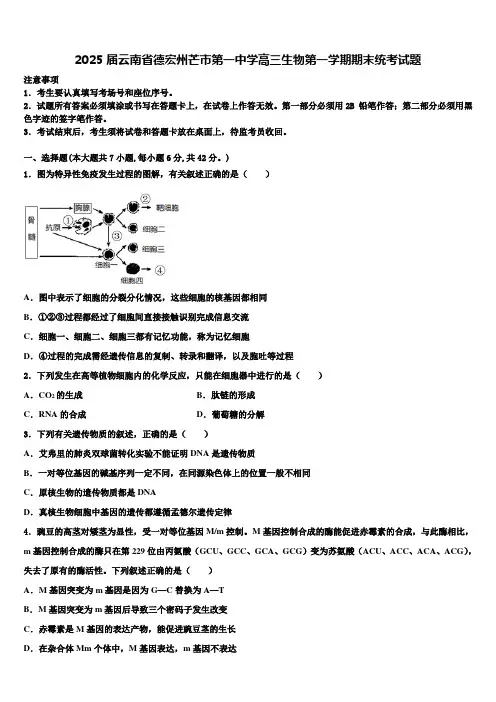 2025届云南省德宏州芒市第一中学高三生物第一学期期末统考试题含解析