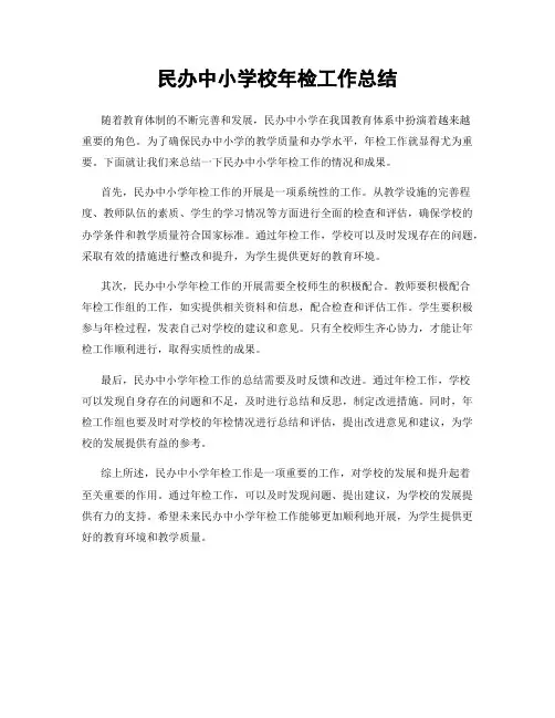民办中小学校年检工作总结