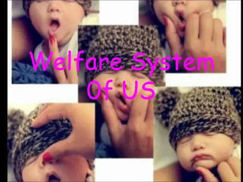 美国的福利制度Welfare_System