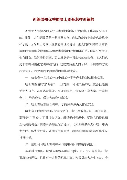 训练须知 优秀的哈士奇是怎样训练的