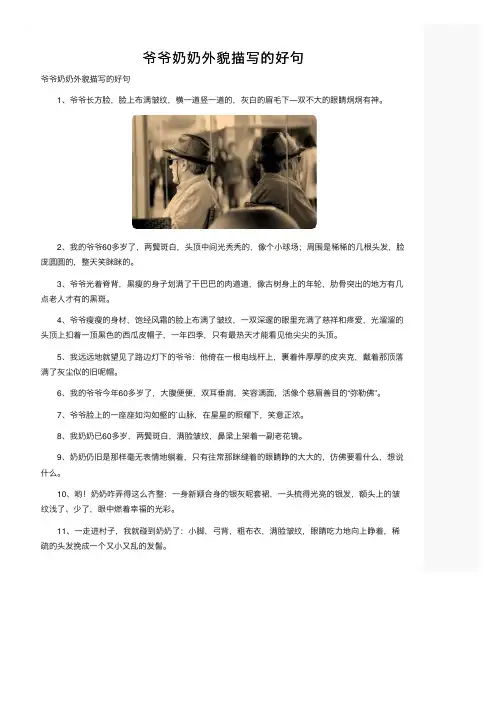 爷爷奶奶外貌描写的好句
