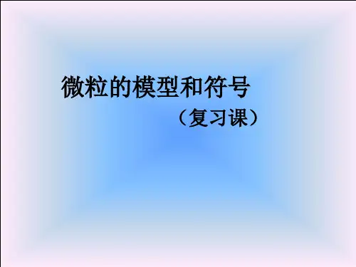 浙教版八年级科学下册第二章微粒的模型和符号复习课课件
