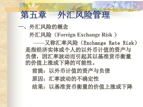 国际金融 外汇风险管理