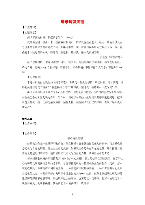2022年高考写作专题辅导磨难铸就美丽