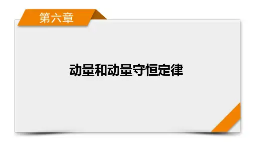 第6章 第1讲 动量 动量定理
