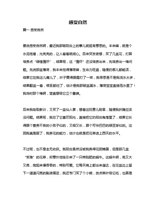 作文《感受自然》