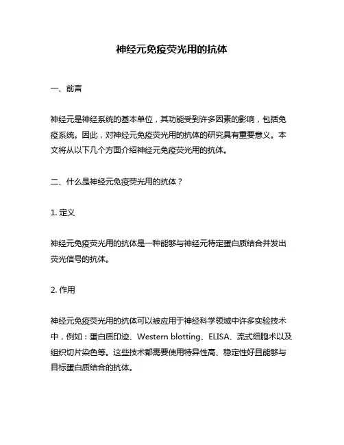 神经元免疫荧光用的抗体