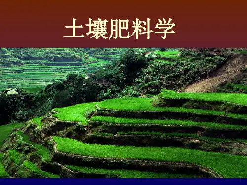 绪论课件土壤肥料学