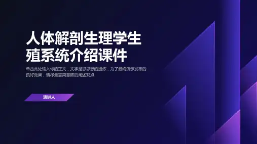 人体解剖生理学生殖系统介绍课件