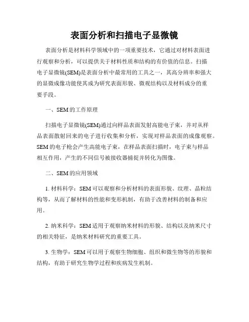 表面分析和扫描电子显微镜