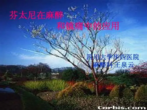 芬太尼在麻醉镇痛中应用