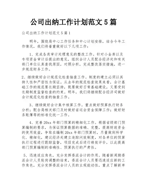 公司出纳工作计划范文5篇