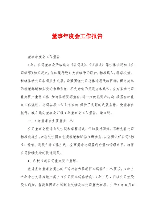 董事年度会工作报告
