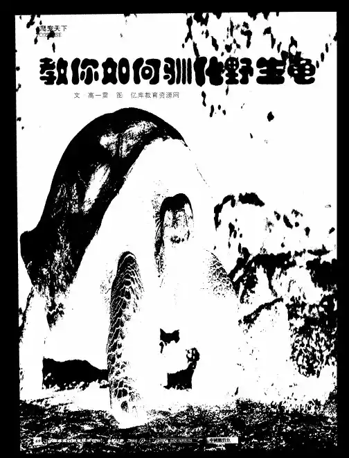 教你如何驯化野生龟