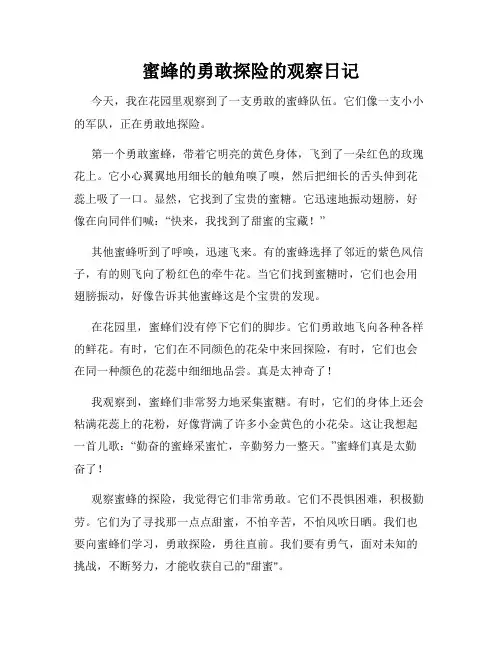 小学三年级作文蜜蜂的勇敢探险的观察日记