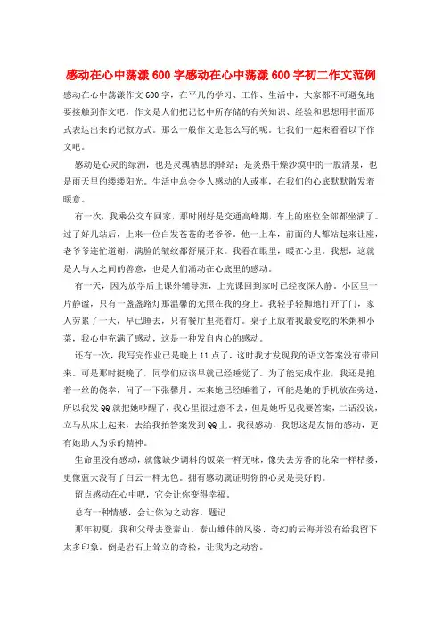 感动在心中荡漾600字感动在心中荡漾600字初二作文范例