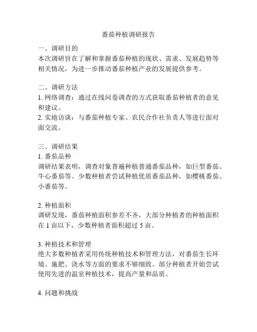 番茄种植调研报告