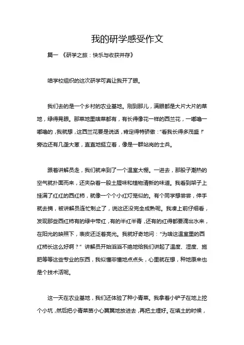 我的研学感受作文