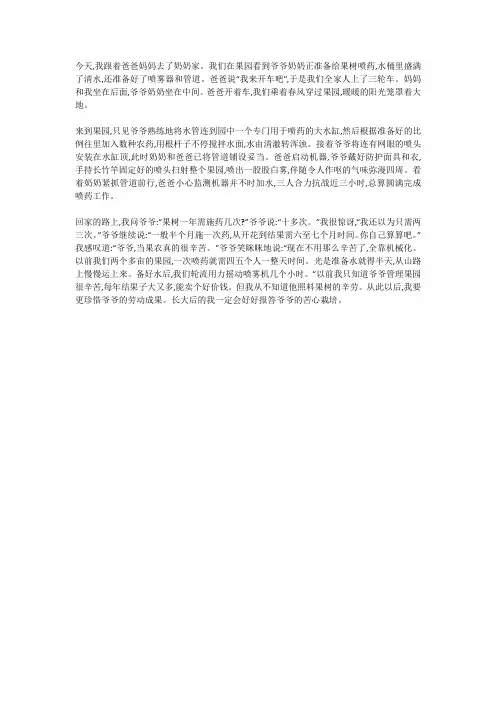 撒农药的快乐作文600字