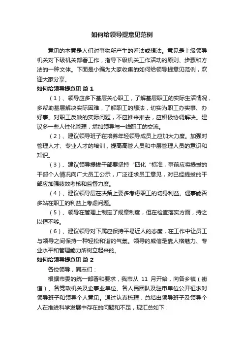 如何给领导提意见范例