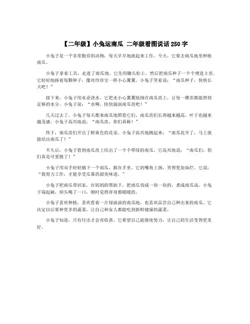 【二年级】小兔运南瓜 二年级看图说话250字