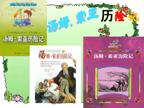 《汤姆索亚历险记》人教版六年级下册语文优秀课件完整版完美版