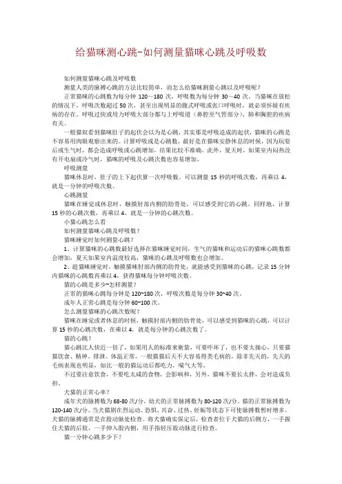 给猫咪测心跳-如何测量猫咪心跳及呼吸数