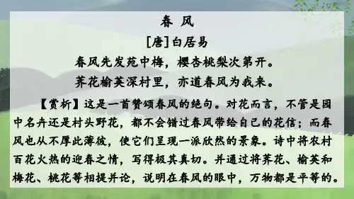 部编版九年级语文上册6我看(精讲版)