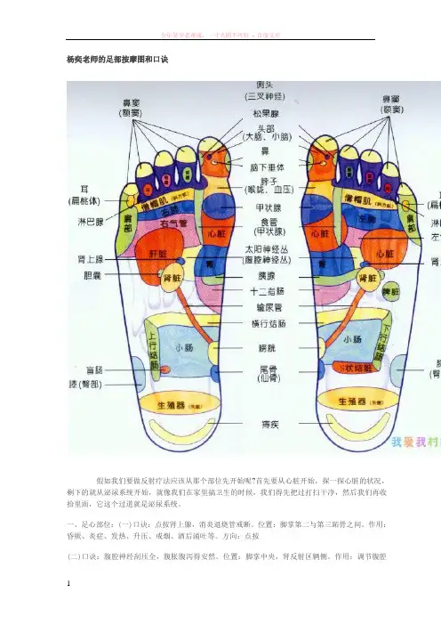 杨奕老师的足部按摩图和口诀