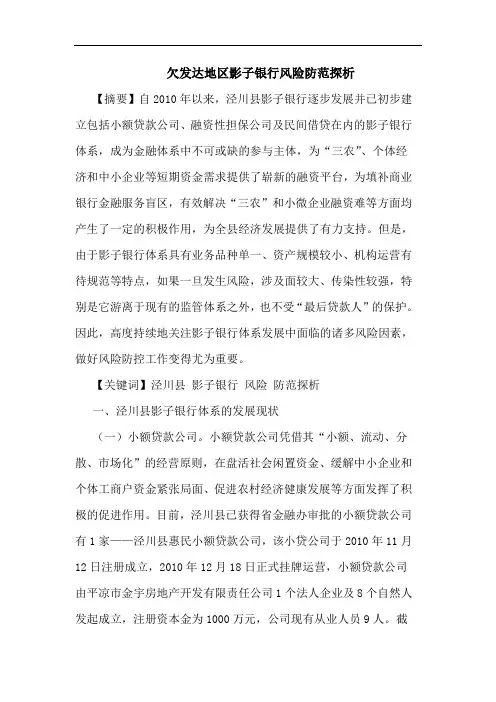 欠发达地区影子银行风险防范