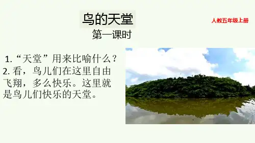 新版五年级上册-23 鸟的天堂人教(部编版) (共21张PPT)