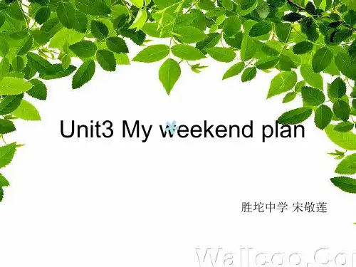 人教版六年级英语上册第三单元课件