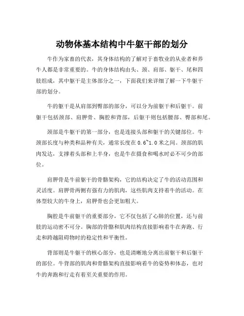 动物体基本结构中牛躯干部的划分