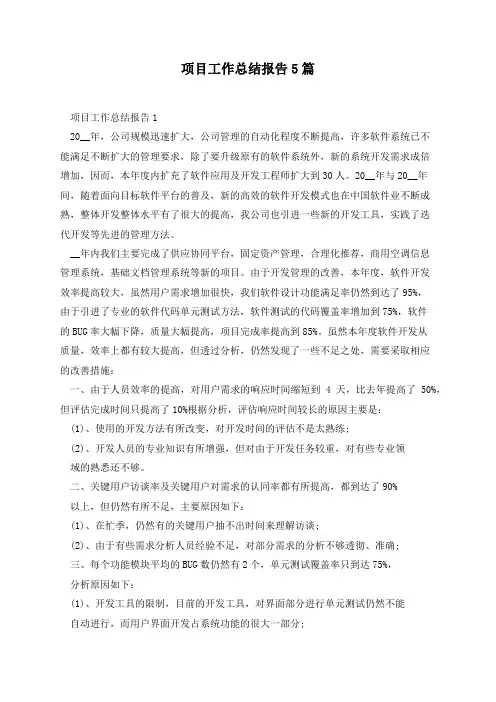 项目工作总结报告5篇