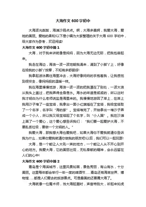 大海作文600字初中