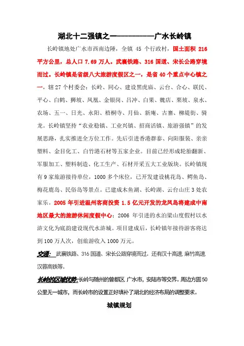 广水长岭