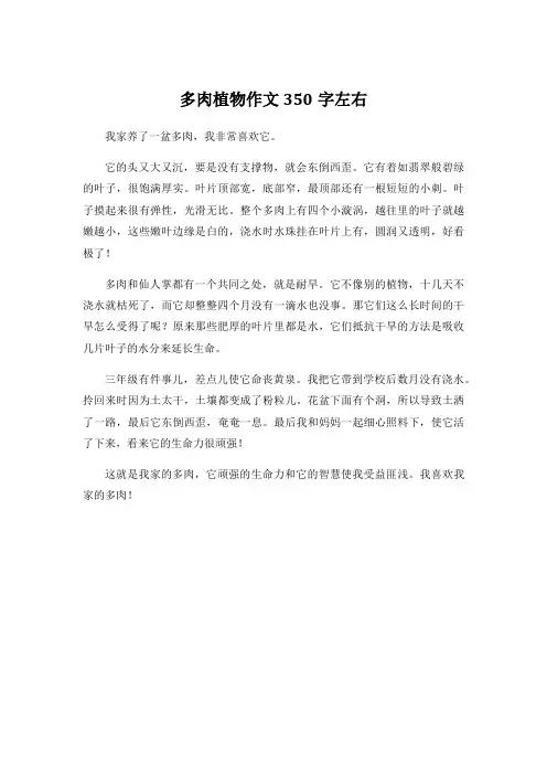多肉植物作文350字左右