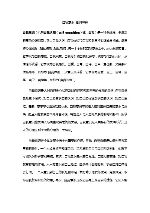 自我意识 名词解释