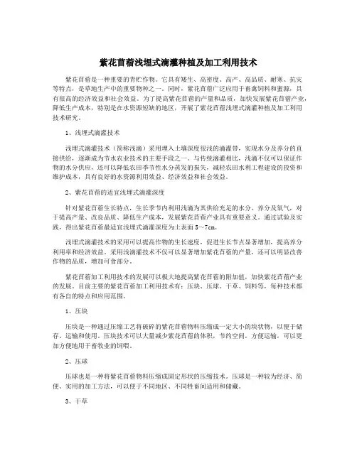 紫花苜蓿浅埋式滴灌种植及加工利用技术