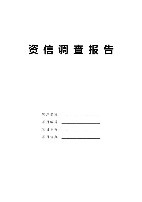 资信调查报告模板 (2)